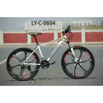 Ly-C-0604 Cool Mountain Bicycles for Cool Adult